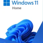 Microsoft Windows 11 Home Standard License Key GLOBAL