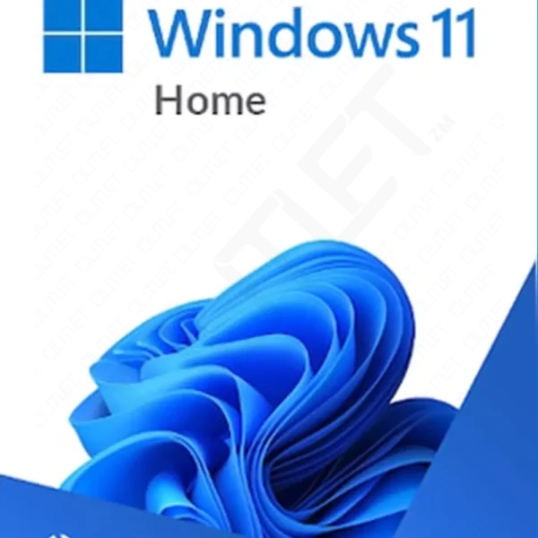 Microsoft Windows 11 Home Standard License Key GLOBAL