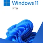 Microsoft Windows 11 Professional Standard License Key GLOBAL