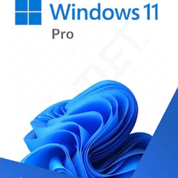Microsoft Windows 11 Professional Standard License Key GLOBAL